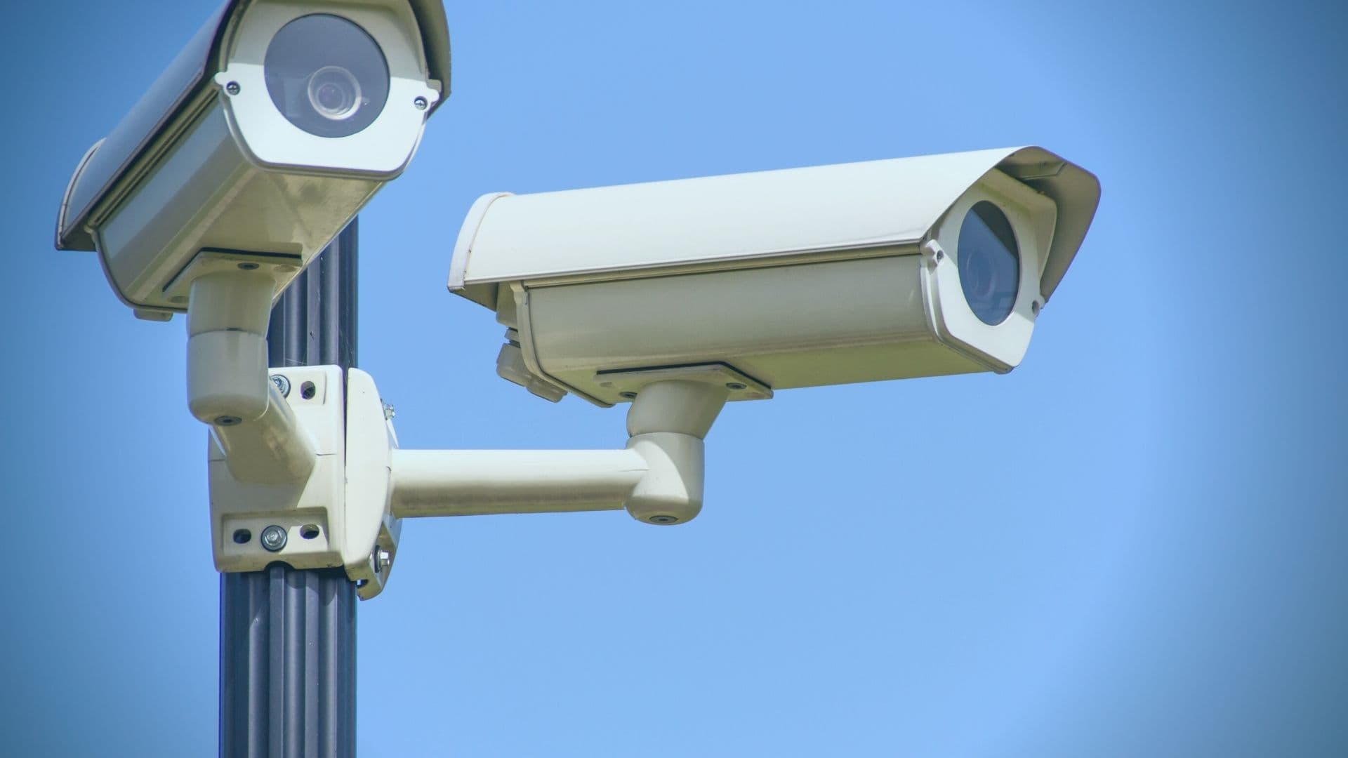 Lisanslama Hizmetleri